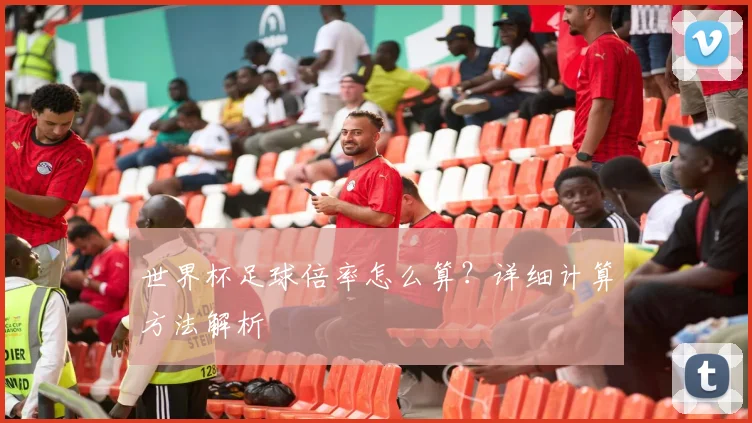 世界杯足球倍率怎么算？详细计算方法解析