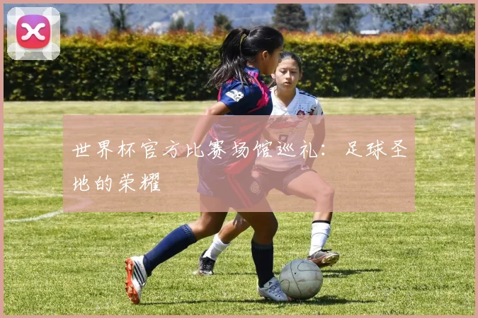 世界杯官方比赛场馆巡礼：足球圣地的荣耀