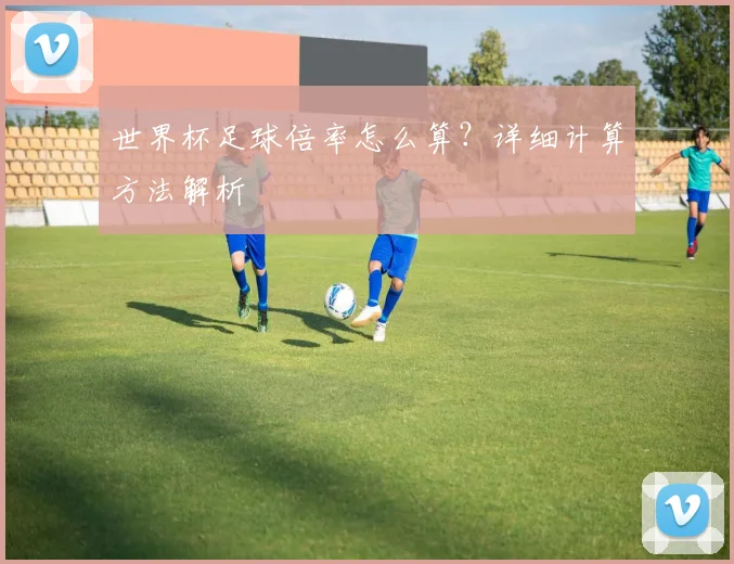 世界杯足球倍率怎么算？详细计算方法解析