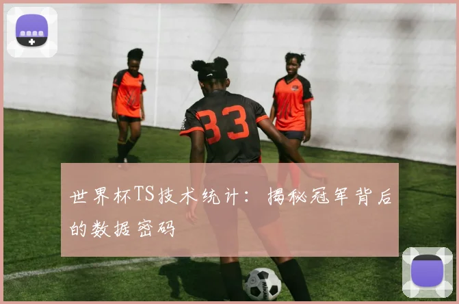 世界杯TS技术统计:揭秘冠军背后的数据密码