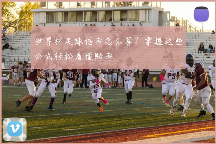 世界杯足球倍率怎么算?掌握这些公式轻松看懂赔率